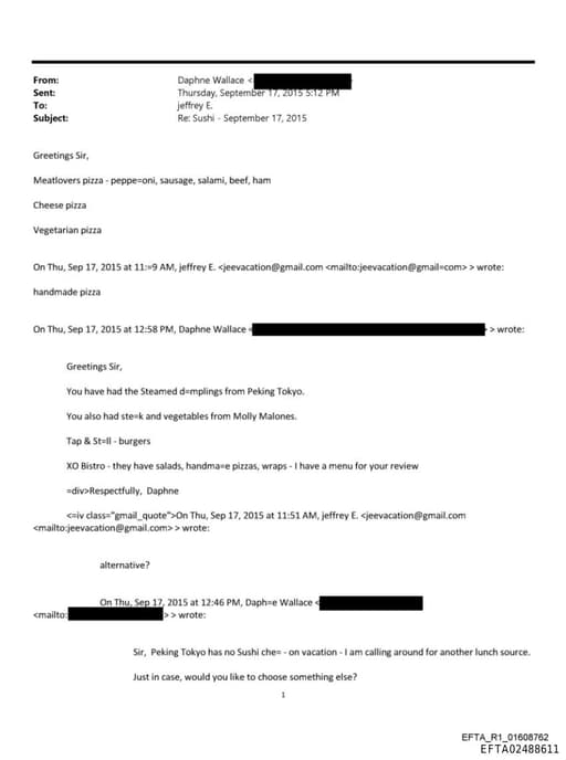 Preview of EFTA02488611