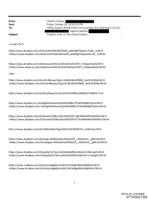 Preview of EFTA02617399