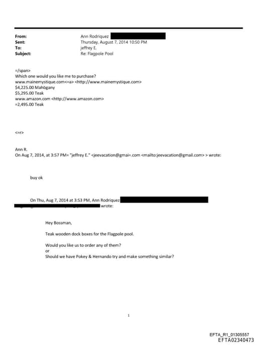 Preview of EFTA02340473