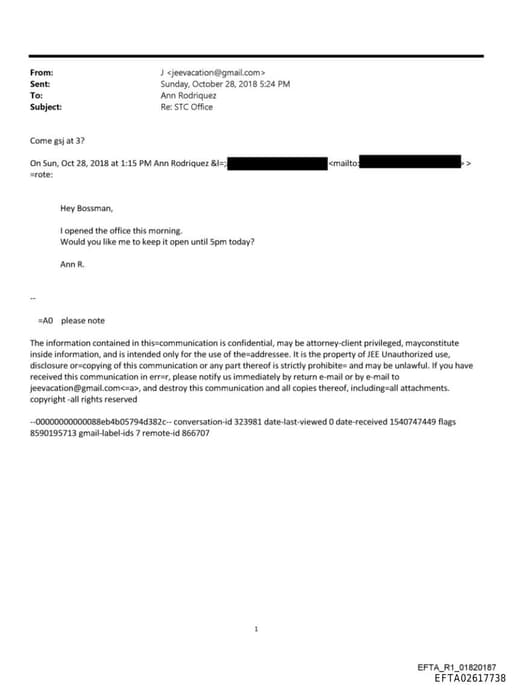 Preview of EFTA02617738