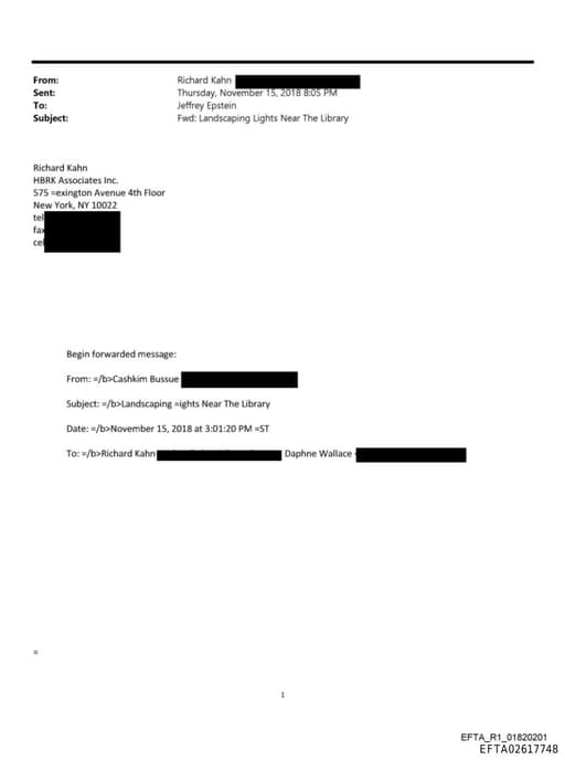 Preview of EFTA02617748