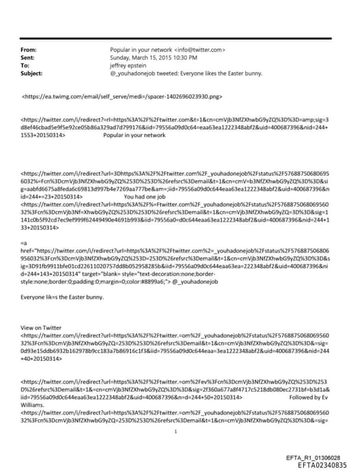 Preview of EFTA02340835