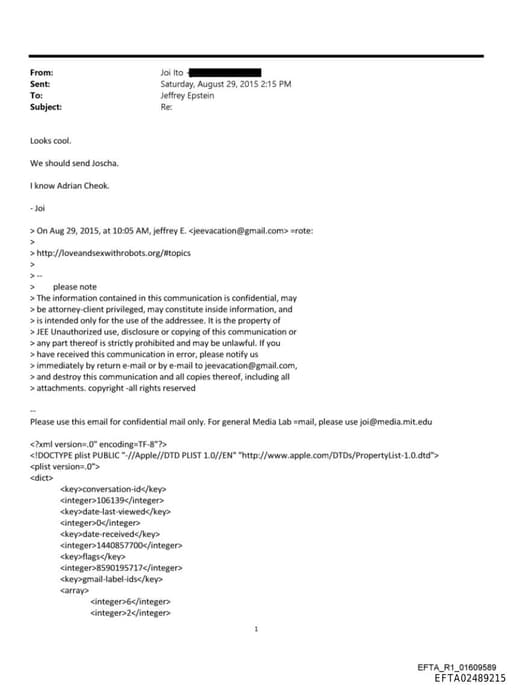 Preview of EFTA02489215