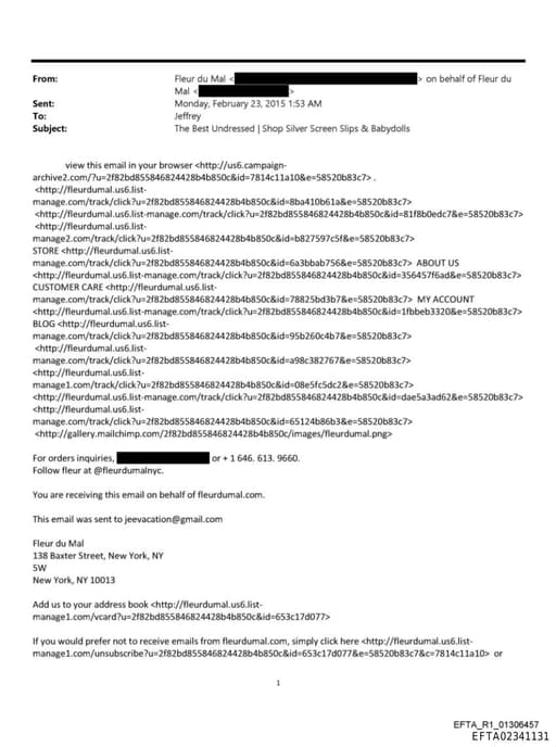 Preview of EFTA02341131