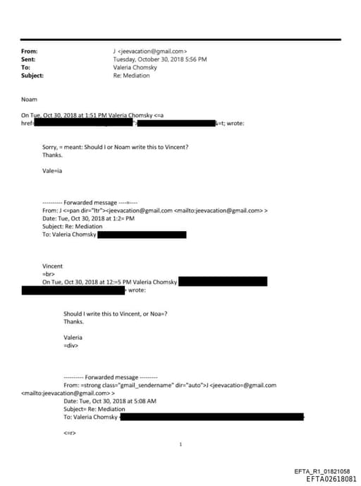 Preview of EFTA02618081