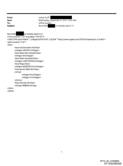 Preview of EFTA02489300