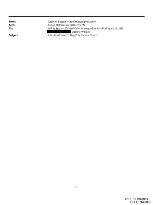Preview of EFTA02618088