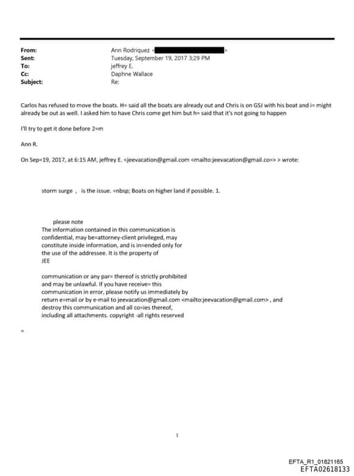 Preview of EFTA02618133