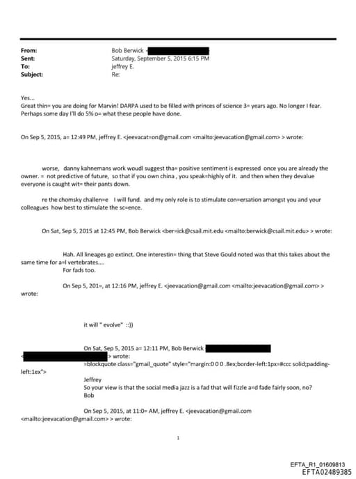 Preview of EFTA02489385