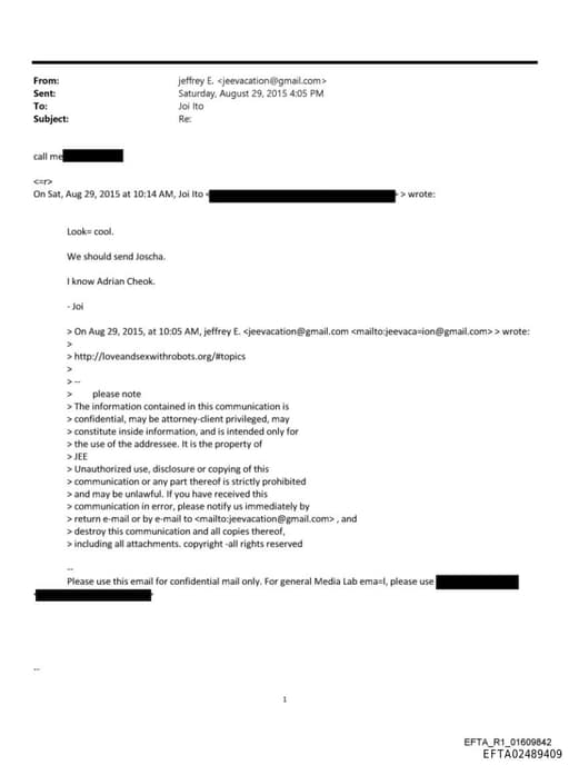 Preview of EFTA02489409