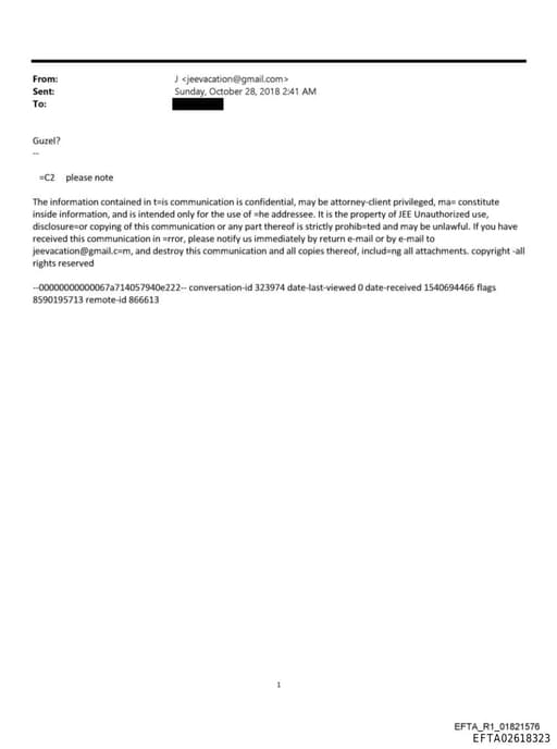 Preview of EFTA02618323