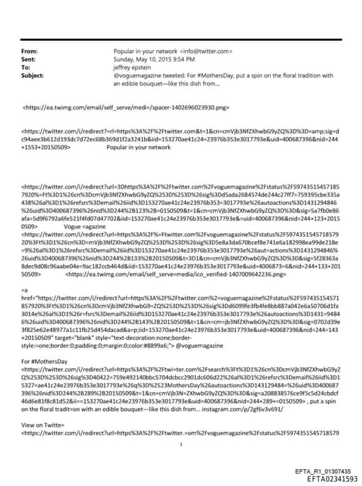 Preview of EFTA02341593