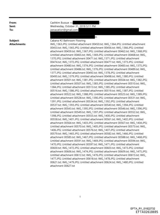 Preview of EFTA02618695