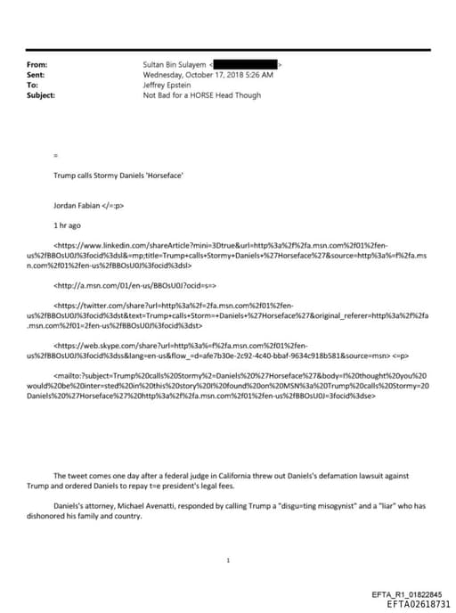 Preview of EFTA02618731