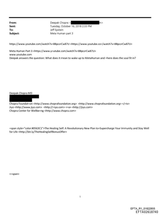 Preview of EFTA02618740