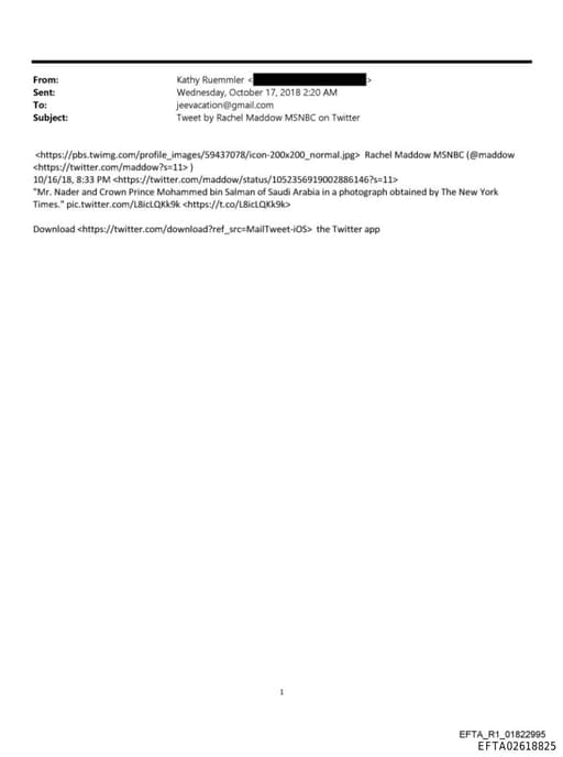 Preview of EFTA02618825