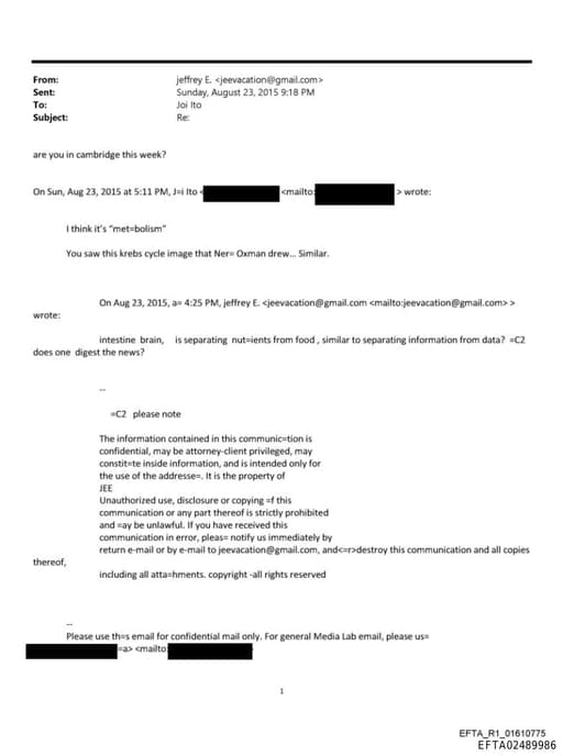 Preview of EFTA02489986