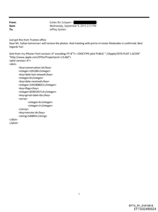 Preview of EFTA02490024