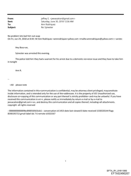 Preview of EFTA02490207