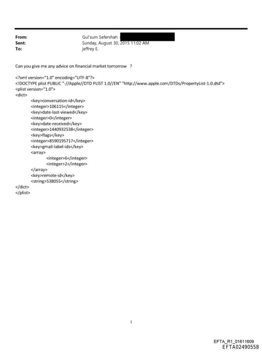Preview of EFTA02490558