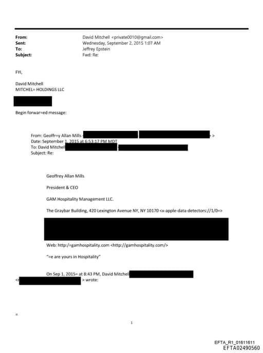 Preview of EFTA02490560