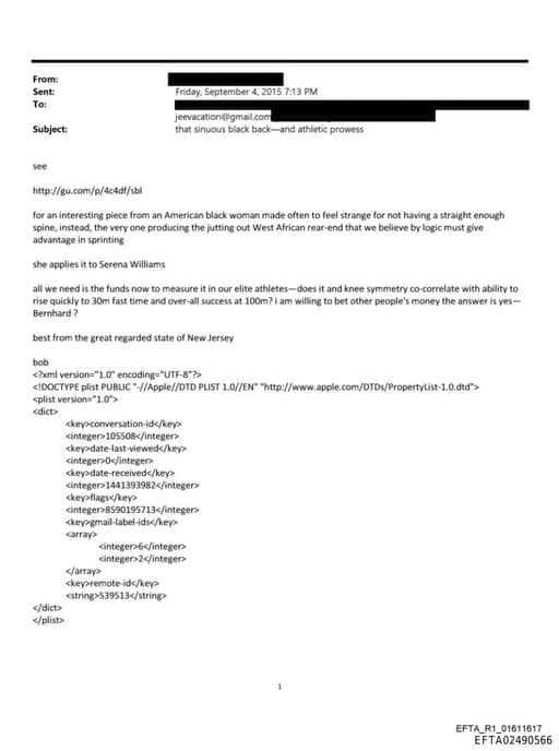 Preview of EFTA02490566