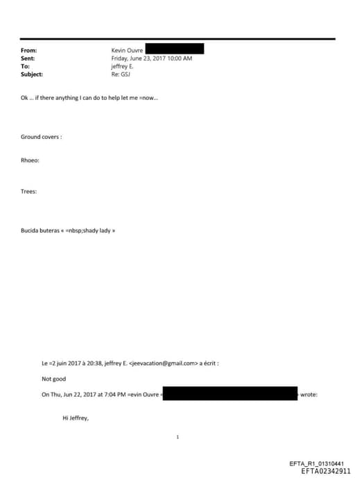 Preview of EFTA02342911