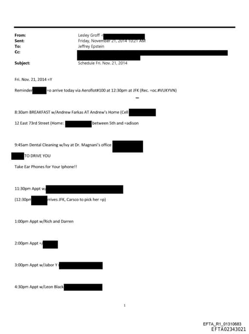 Preview of EFTA02343021