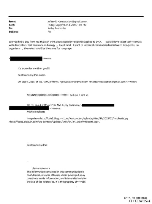 Preview of EFTA02490574