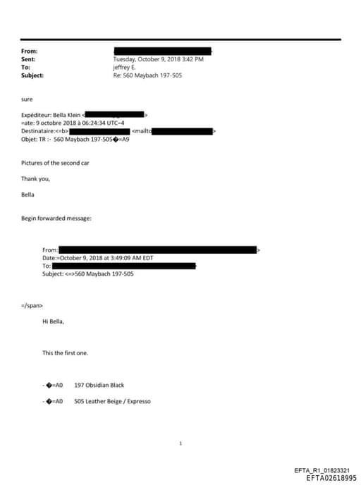 Preview of EFTA02618995