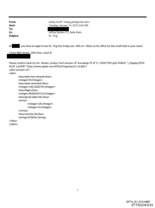 Preview of EFTA02343141