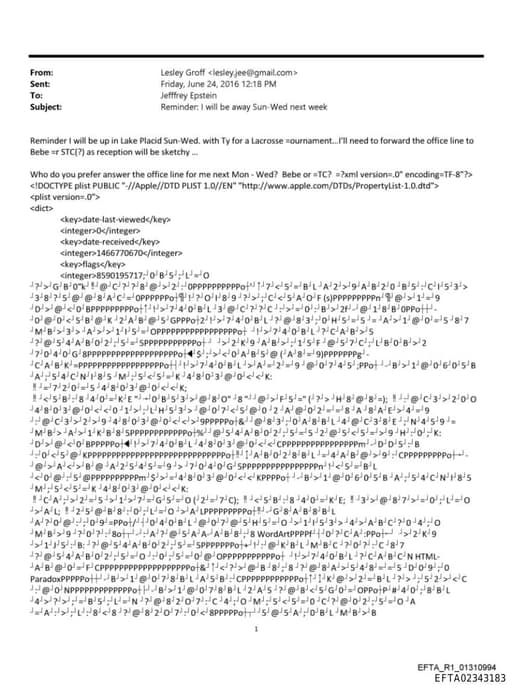 Preview of EFTA02343183