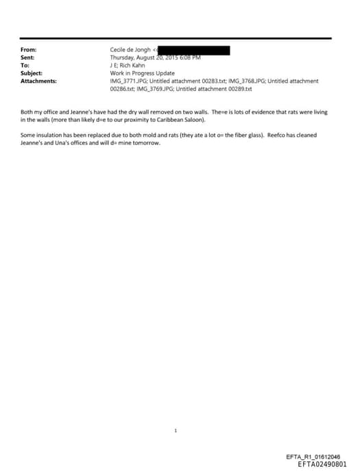 Preview of EFTA02490801