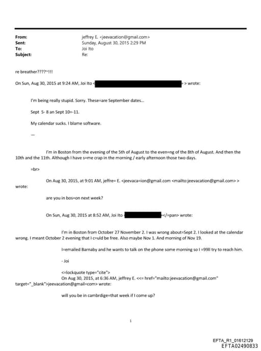 Preview of EFTA02490833