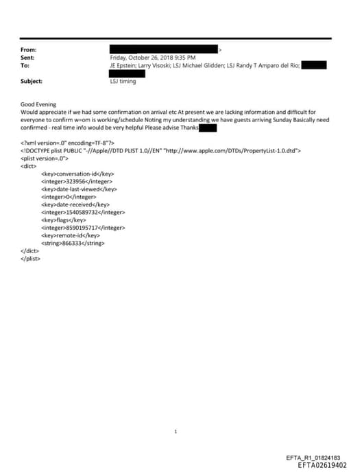 Preview of EFTA02619402