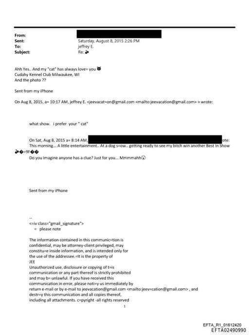 Preview of EFTA02490990