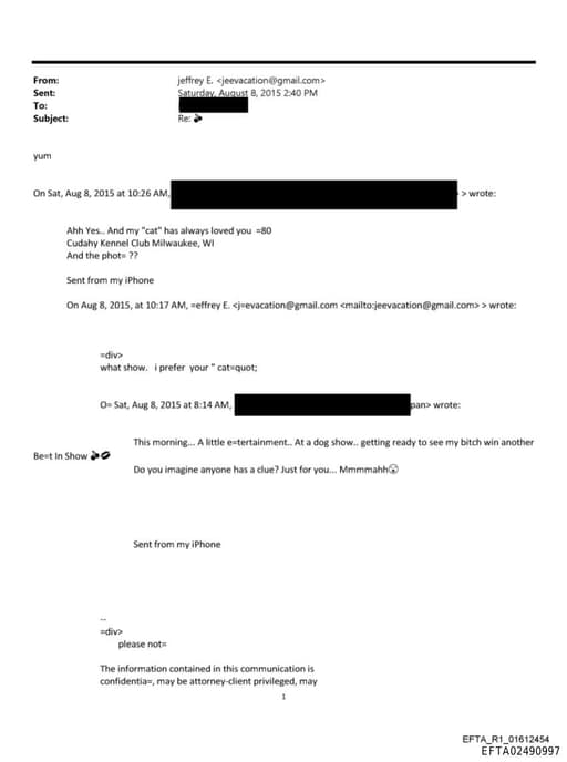 Preview of EFTA02490997