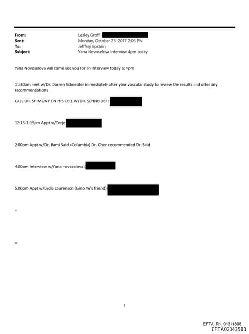 Preview of EFTA02343583