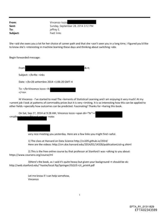 Preview of EFTA02343599