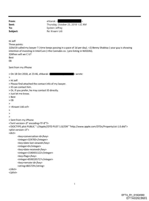 Preview of EFTA02619601