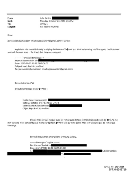 Preview of EFTA02343719