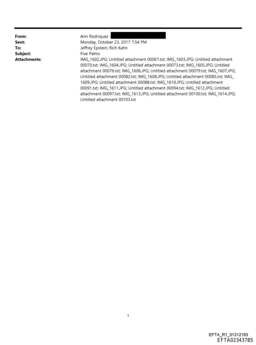 Preview of EFTA02343785