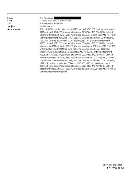 Preview of EFTA02343808