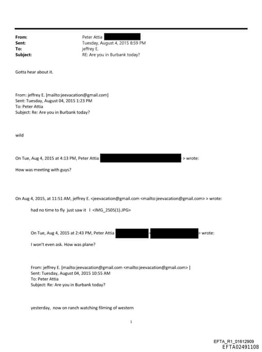 Preview of EFTA02491108