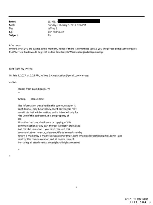 Preview of EFTA02344132