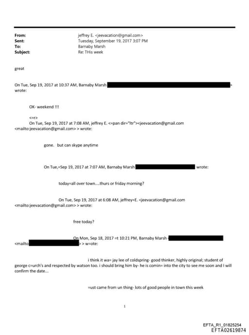 Preview of EFTA02619874