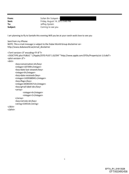 Preview of EFTA02491456