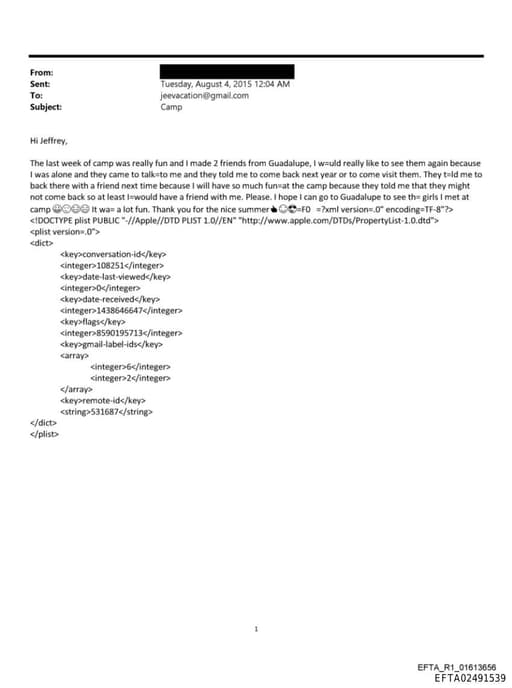 Preview of EFTA02491539