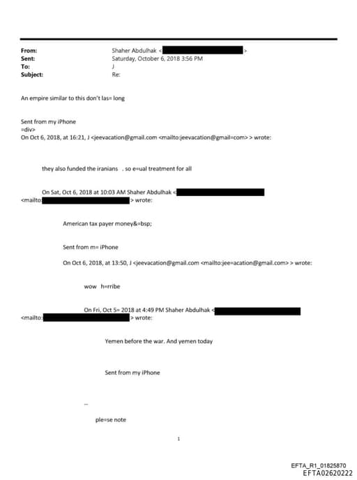 Preview of EFTA02620222