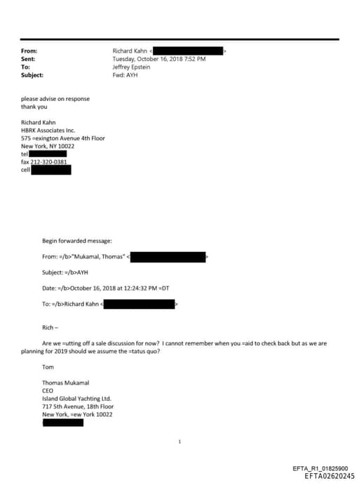 Preview of EFTA02620245